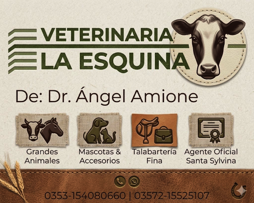 Publicidad